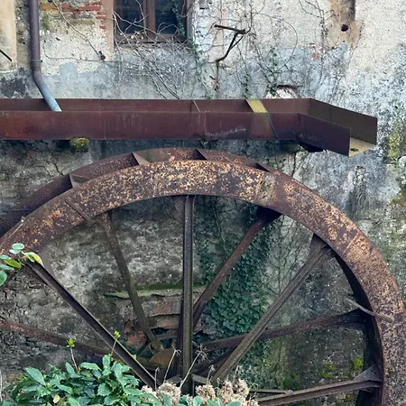 Holiday home Tuscany Secret Garden In Versilia