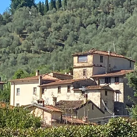 Tuscany Secret Garden In Versilia