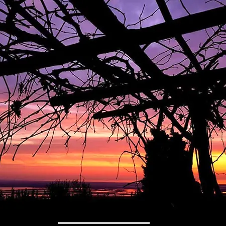 Casa vacanze Tuscany Secret Garden In Versilia *