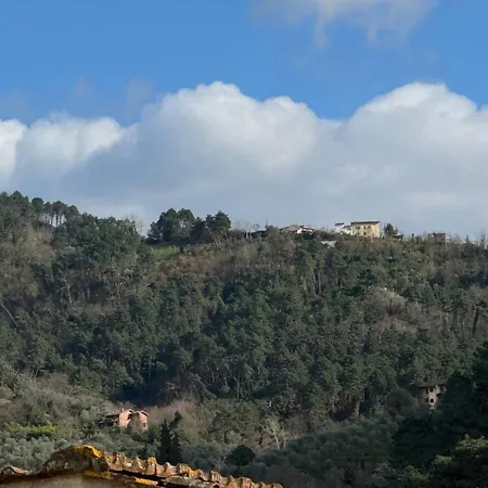 Holiday home Tuscany Secret Garden In Versilia *