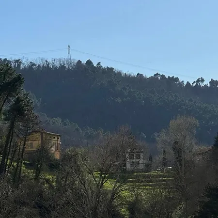 Tuscany Secret Garden In Versilia Camaiore