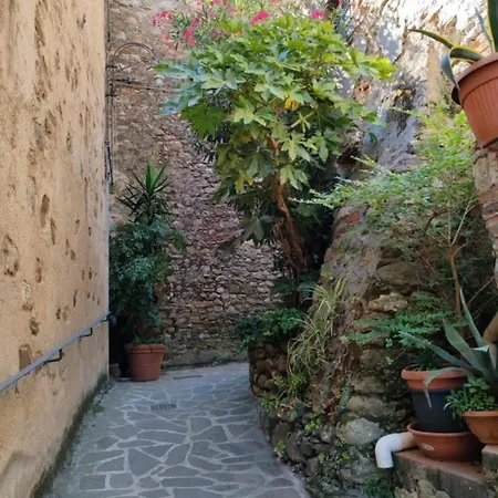 Tuscany Secret Garden In Versilia * Camaiore